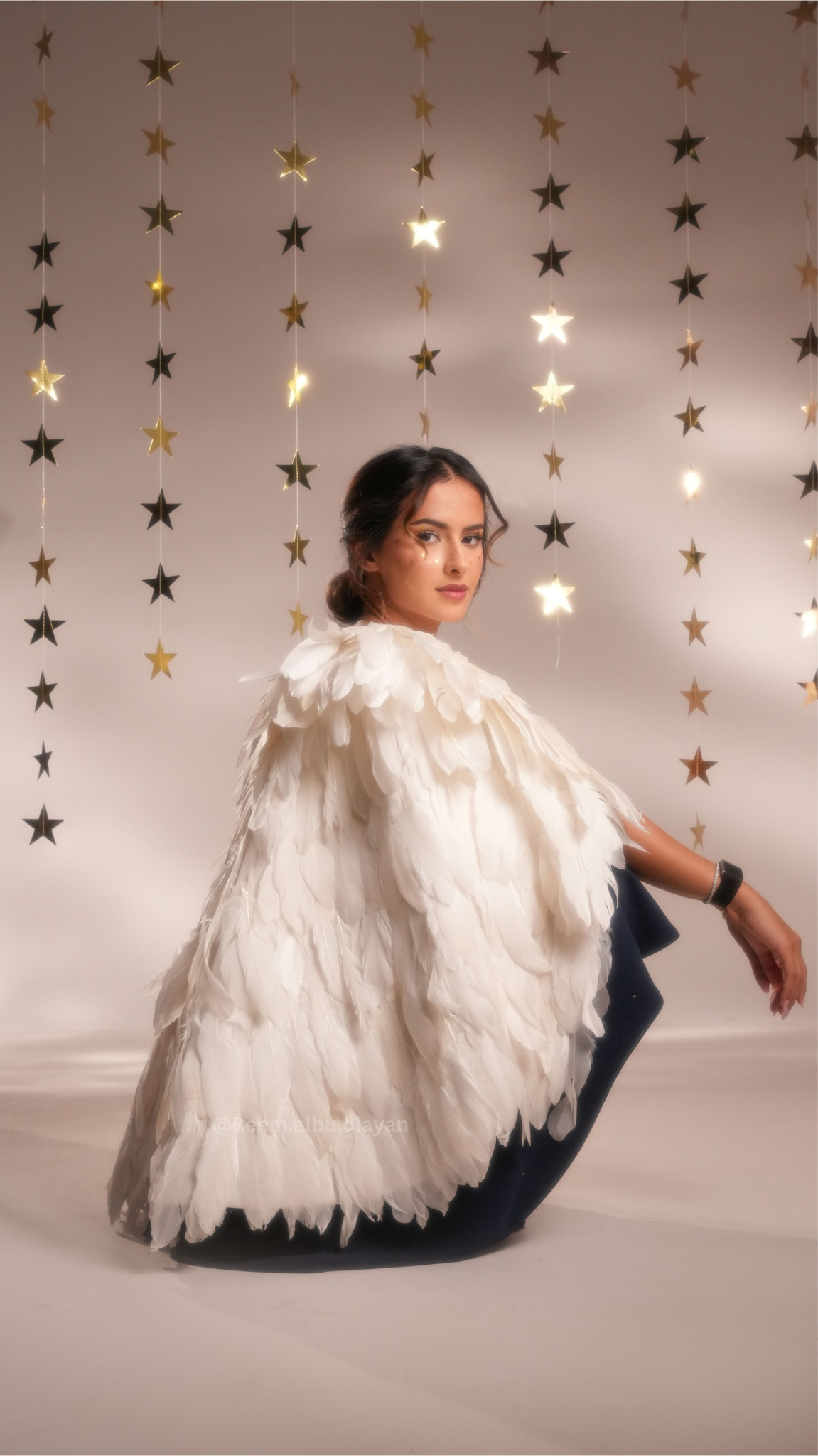 صورة مشروع أسترنيس 2